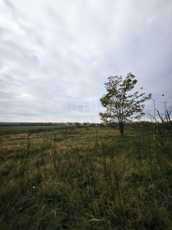 Verkauf Csomád Landwirtschaftliche Flächen