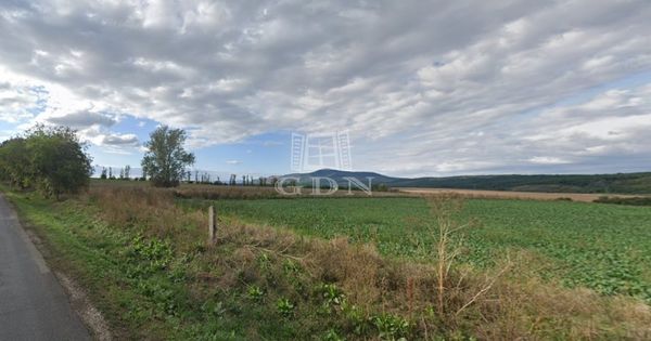 Vânzare Vác Zona agricola