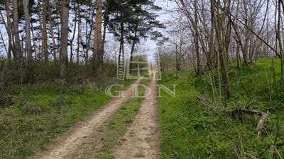 Hévízgyörk Agricultural area - 12.000.000 HUF