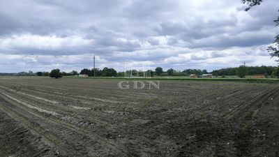 Pócsmegyer Agricultural area - 15.000.000 HUF