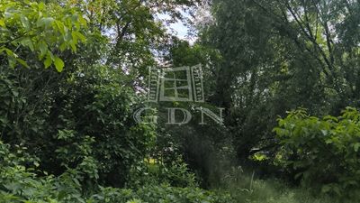 Dunakeszi Landwirtschaftliche Flächen - 4.900.000 HUF