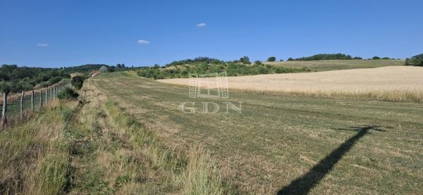 Vânzare Mogyoród Zona agricola