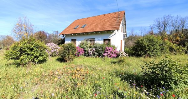 For sale Domony Family House