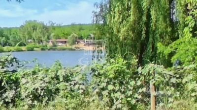 Domony Agricultural area - 8.900.000 HUF