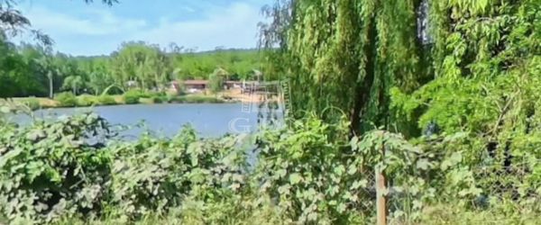 For sale Domony Agricultural area