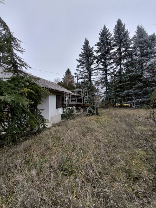 For sale Szigetmonostor Family House