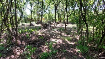 Dunabogdány Участок - 24.900.000 HUF