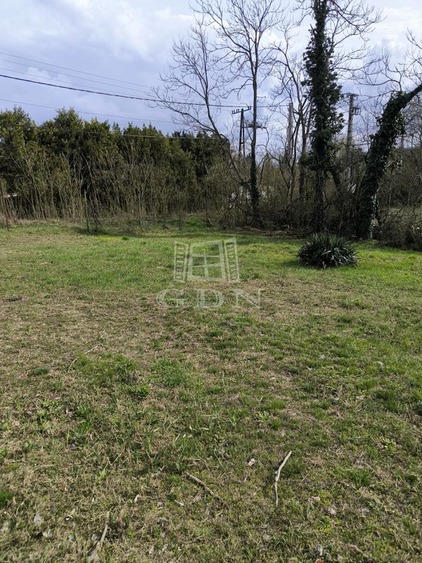 Eladó Őrbottyán Telek