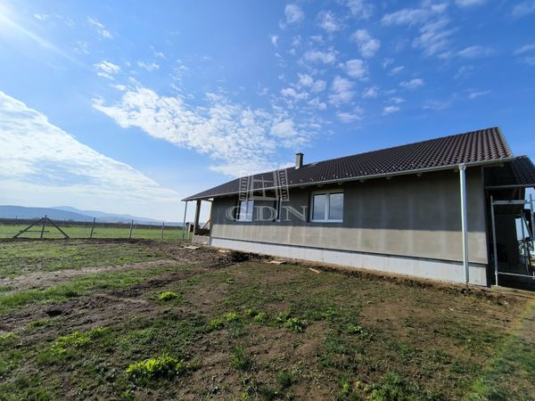 Eladó Berkenye Családi ház