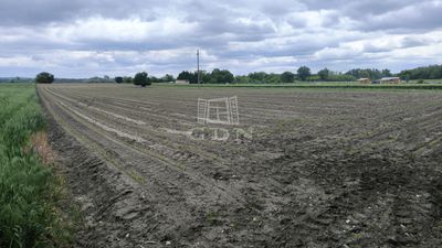 Pócsmegyer Agricultural area - 5.900.000 HUF