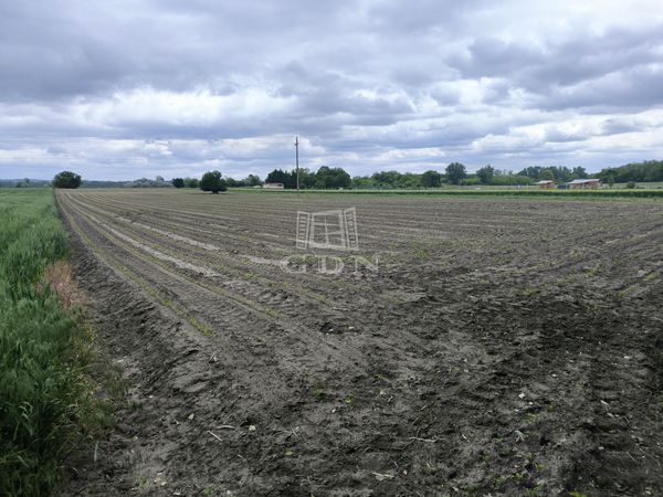 Продается Pócsmegyer Земля сельскохозяйственного назначения