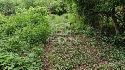 Biatorbágy Telek - 27.500.000 Ft