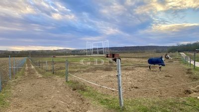 Mogyoród Mezőgazdasági terület - 65.000.000 Ft