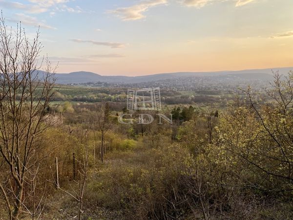 Verkauf Budapest II. kerület Wohngrundstück