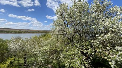 Biatorbágy Family House - 215.000.000 HUF