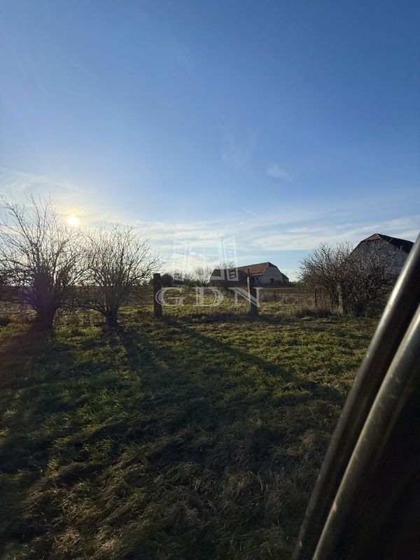 Eladó Sárbogárd Mezőgazdasági terület