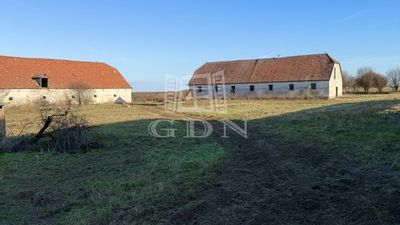 Sárbogárd Zona agricola - 125.000.000 HUF