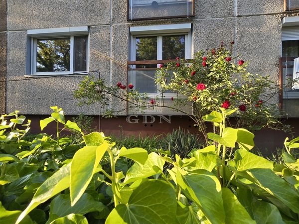 Verkauf Budapest XVII. kerület Wohnung (Panel)