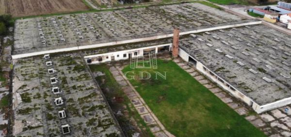 Eladó Cegléd Ipari terület