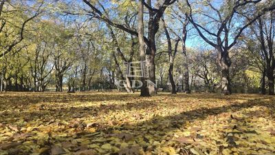 Budapest, XIV. kerület Lakás - 55.900.000 Ft