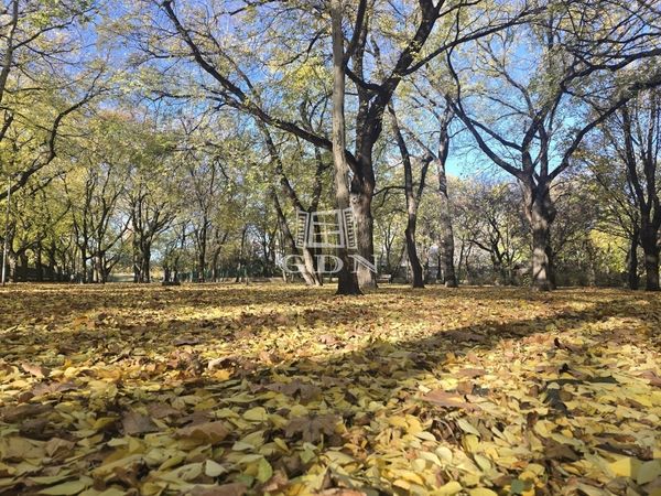 Eladó Budapest XIV. kerület Lakás (panel)