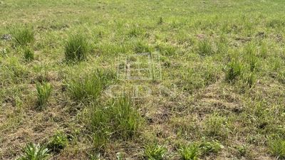 Kehidakustány Telek - 12.000.000 Ft