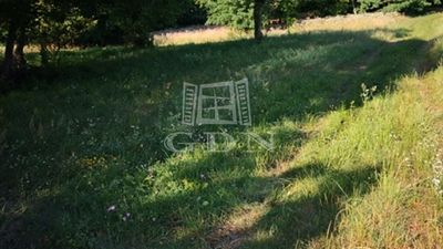 Kéthely Agricultural area - 7.000.000 HUF