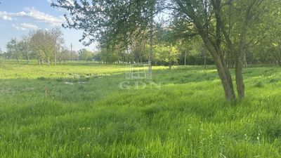 Balatongyörök Mezőgazdasági terület - 24.900.000 Ft