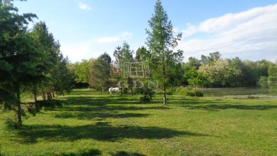 Püspökmolnári Telek - 195.000.000 Ft