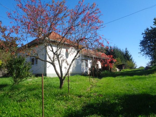 Eladó Sárfimizdó Családi ház