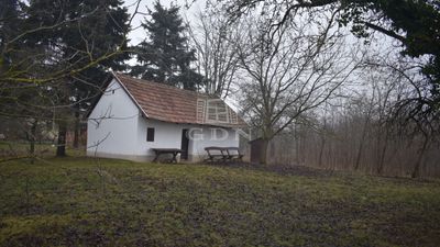 Döröske Mezőgazdasági terület - 9.800.000 Ft