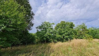 Maglód Telek - 29.900.000 Ft