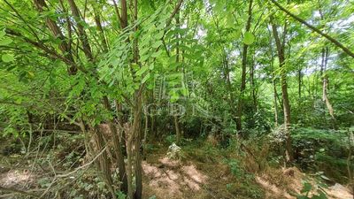 Isaszeg Telek - 11.900.000 Ft