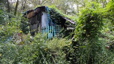 Isaszeg Telek - 11.950.000 Ft