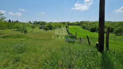 Tápiószecső Telek - 1.800.000 Ft