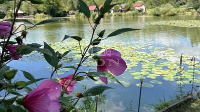 Pécel Ferma - 27.500.000 HUF