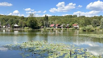 Pécel Tanya - 25.900.000 Ft