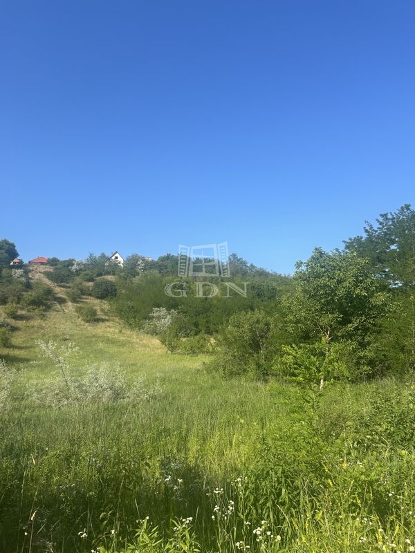 出卖 Isaszeg 土地