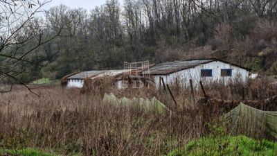 Pécel Telek - 420.000 Ft