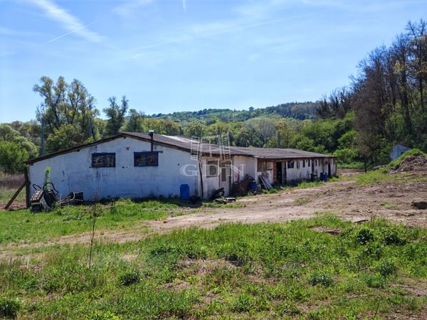 Kiadó Pécel Telek