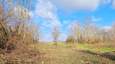 Zalavég Telek - 2.800.000 Ft