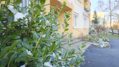 Zalaegerszeg Lakás - 110.000 Ft