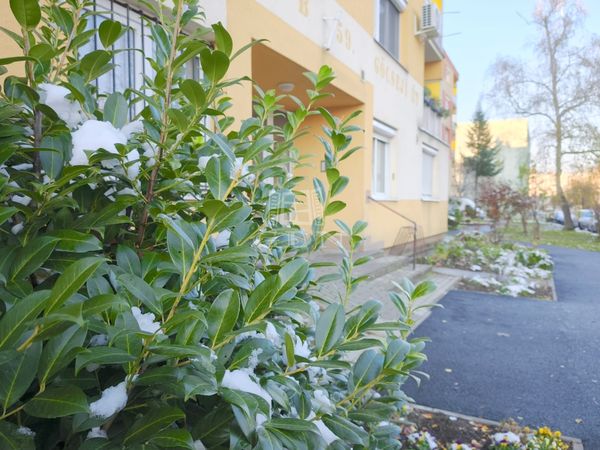 Kiadó Zalaegerszeg Lakás (téglaépítésű)