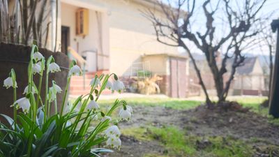 Csatár Casa Familiala - 29.900.000 HUF