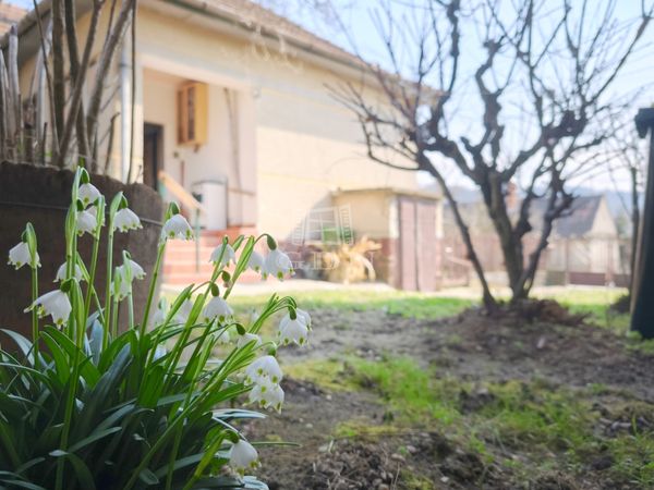 Vânzare Csatár Casa Familiala