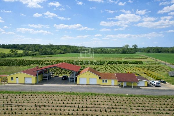Verkauf Balogunyom Landwirtschaftliche Flächen
