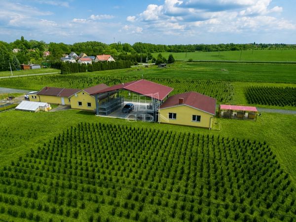 Eladó Balogunyom Mezőgazdasági terület