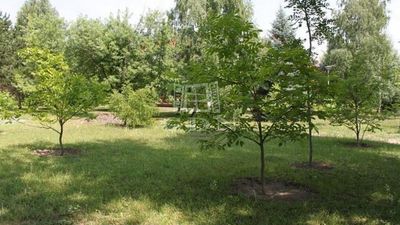 Gárdony Teren pentru constructii - 210.000.000 HUF