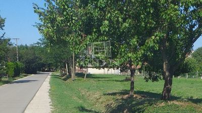 Pázmánd Telek - 35.000.000 Ft