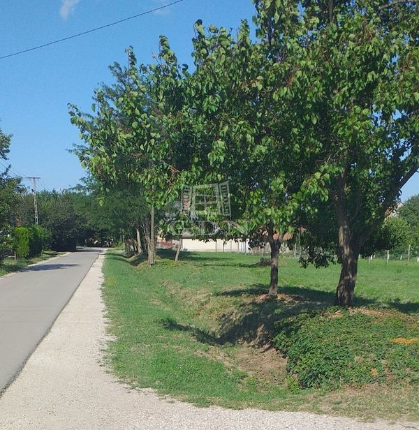 Eladó Pázmánd Telek